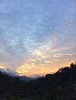 CEYLON BOPF (Broken Orange Pekoe Fanning) - Image 5