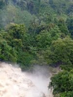 CEYLON BOPF (Broken Orange Pekoe Fanning) - Image 11