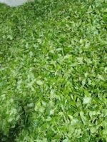 CEYLON BOPF (Broken Orange Pekoe Fanning) - Image 7