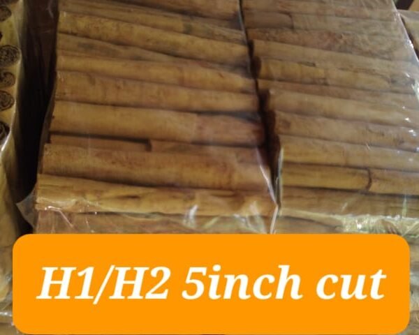 Cinnamon H1/H2 5 inch Cut